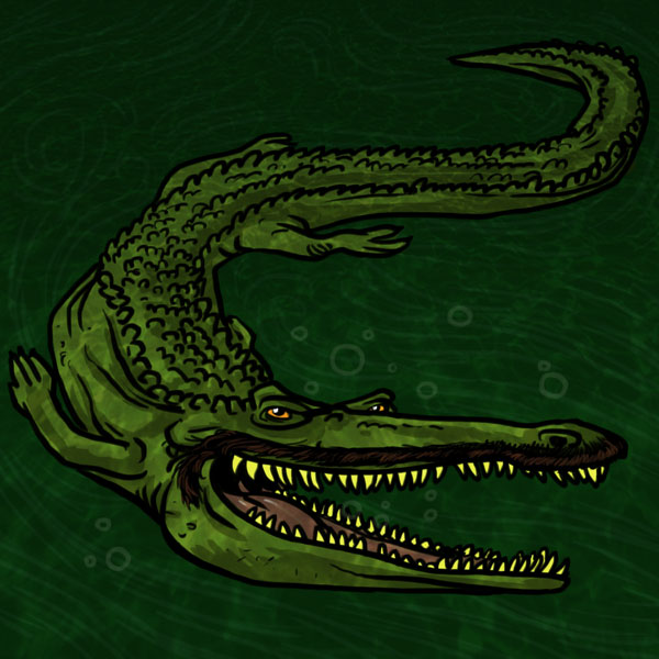 1970s crocodile illustration